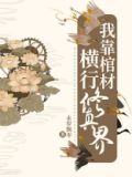 我靠棺材横行修真界百度网盘