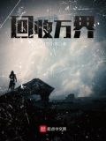 回收万界 黄焖鸡