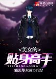 美女的贴身高手 小说