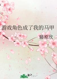 游戏角色成了我的马甲 小说
