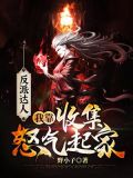 反派达人:我靠收集怒气起家 野小子