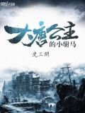 大唐公主的小驸马下载