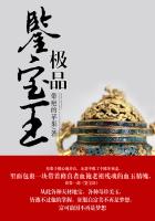 极品鉴宝王免费阅读全文下载