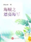 海贼之海军罪人