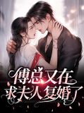 傅总又在求夫人复婚了下拉式