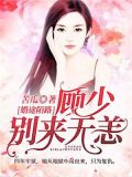 婚途陌路顾少别来无恙免费阅读