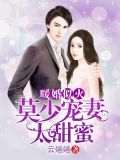 暖婚似火:莫少宠妻太甜蜜免费阅读