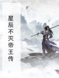 不灭星辰诀小说