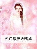名门暖妻太任性