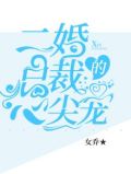 总裁的二婚私宠