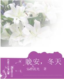 晚安冬天