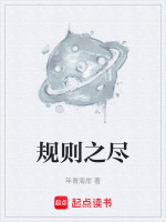 规则之治意思
