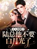陆总别虐,夫人才是你的白月光