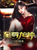 至尊龙帅完整版