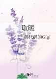 取暖炉子柴火煤炭两用