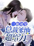 一胎双宝,总裁大佬狂宠妻