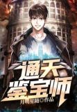 通灵鉴宝小说