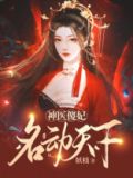 神医傻王妃