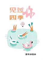 见过四季,见过你 下载